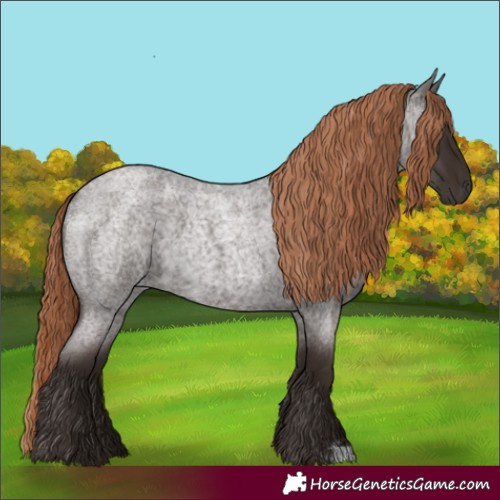 Horse Color:Liver Red Roan