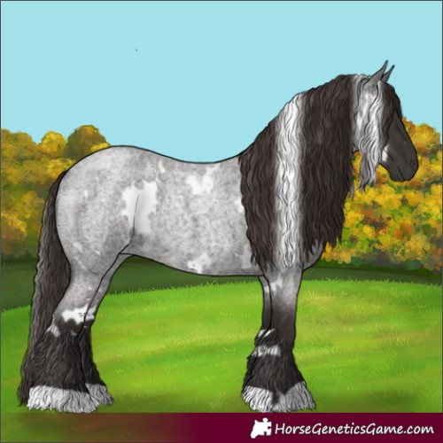 Horse Color:White Spotted Liver Red Roan