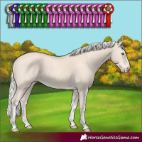 Horse Color:Silver Smoky Creme Tobiano Frame Rabicano 