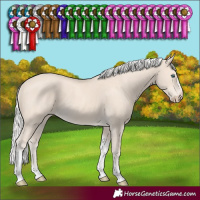 Horse Color:Silver Smoky Creme Tobiano Frame Rabicano 