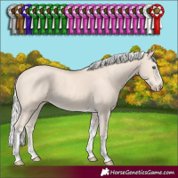 Horse Color:Silver Smoky Creme Tobiano Frame Rabicano