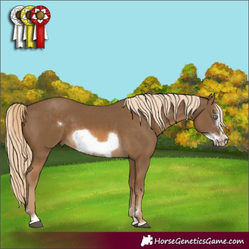 Horse Color:Chocolate Palomino Frame 