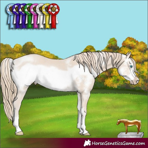 Horse Color:Smoky Creme Sabino Frame Rabicano 