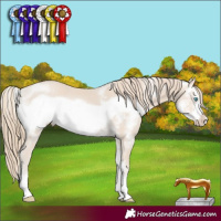 Horse Color:Smoky Creme Sabino Frame Rabicano 