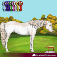 Horse Color:Smoky Creme Sabino Frame Rabicano