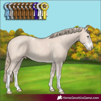 Horse Color:Smoky Creme Sabino Tobiano