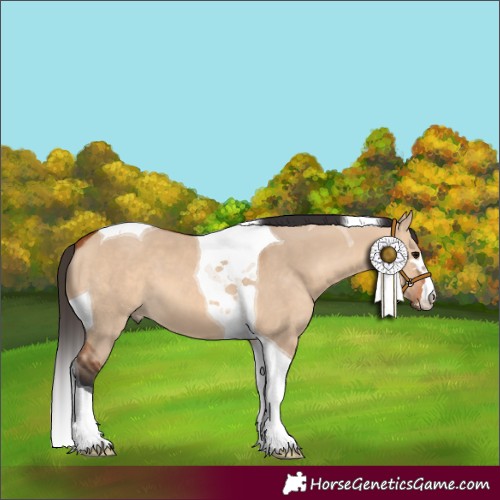 Horse Color:Bay Dun Tobiano 