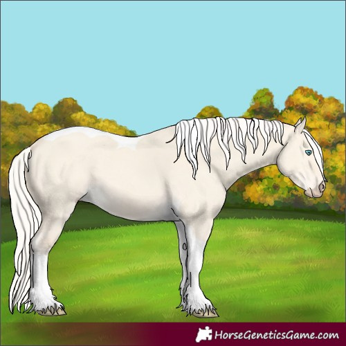 Horse Color:Cremello Dun Tobiano 