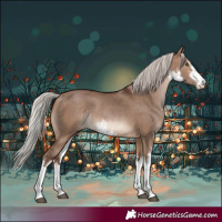 Horse Color:White Spotted Silver Brown Dun