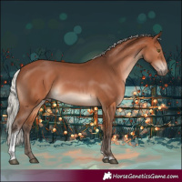 Horse Color:White Spotted Silver Brown Tobiano