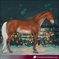 Horse Color:White Spotted Silver Brown Tobiano