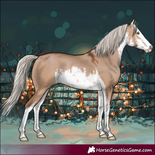 Horse Color:White Spotted Silver Brown Dun Splash 