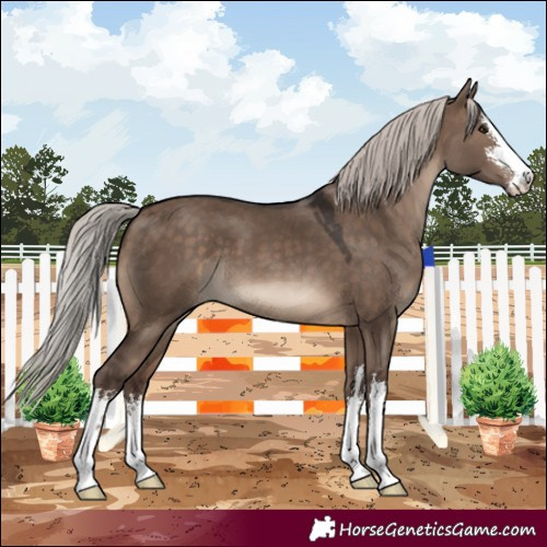 Horse Color:White Spotted Silver Brown Dun 