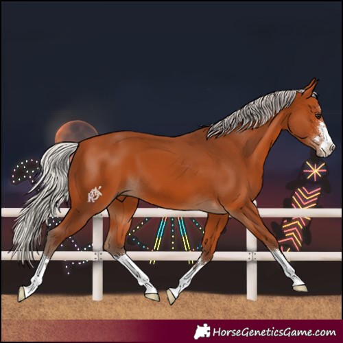 Horse Color:Silver Bay 