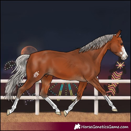 Horse Color:Silver Bay 