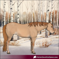 Horse Color:Red Dun 