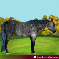 Horse Color:ERROR: UNKNOWN ANOMALY