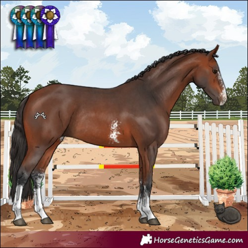 Horse Color:Bay Sabino Rabicano 