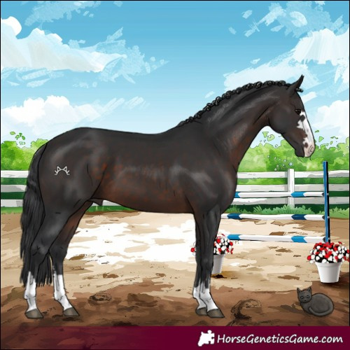 Horse Color:Brown 
