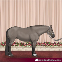 Horse Color:Smoky Grullo 