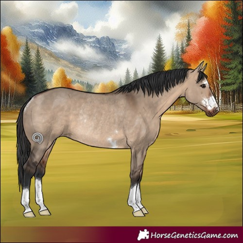 Horse Color:Bay Dun Rabicano 