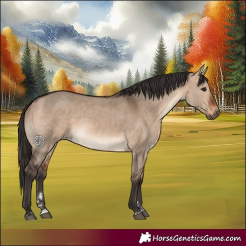Horse Color:Bay Dun Rabicano 