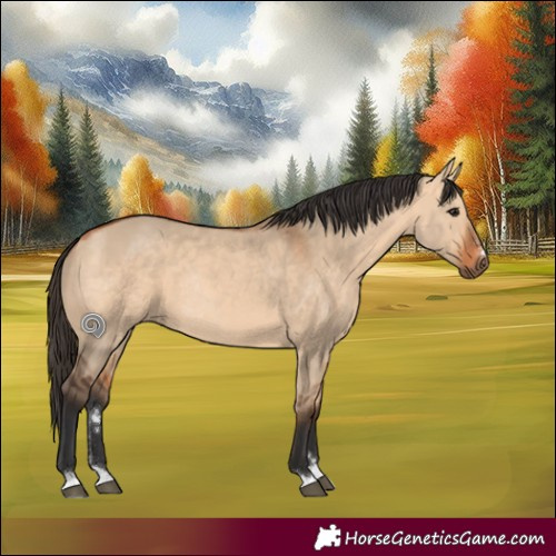 Horse Color:Bay Dun Rabicano 