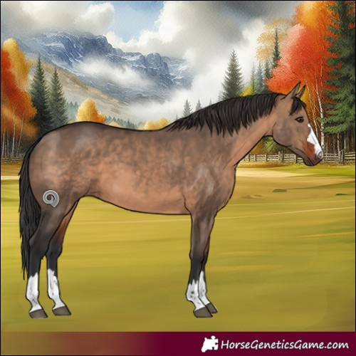 Horse Color:Brown Dun Rabicano 