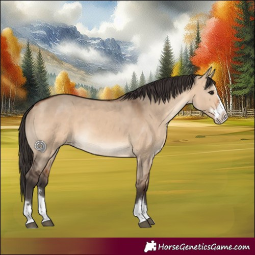 Horse Color:Bay Dun Rabicano 