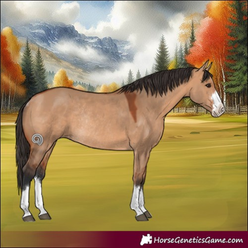 Horse Color:Bay Dun Rabicano 