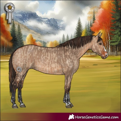 Horse Color:Red Dun Rabicano  and Bay Dun Rabicano 