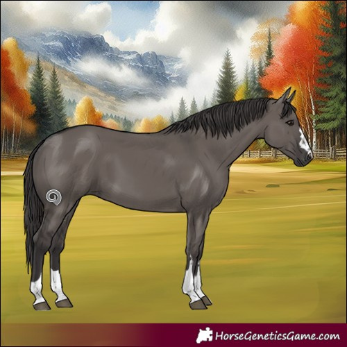 Horse Color:Smoky Grullo Rabicano