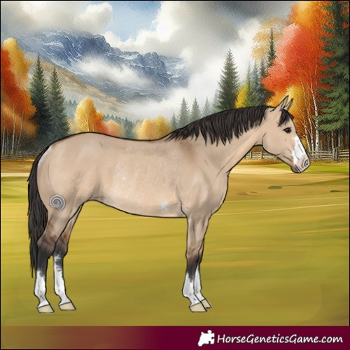 Horse Color:Bay Dun Rabicano 