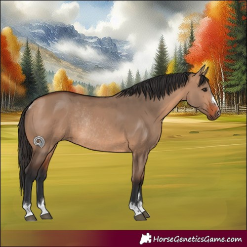 Horse Color:Bay Dun Rabicano 