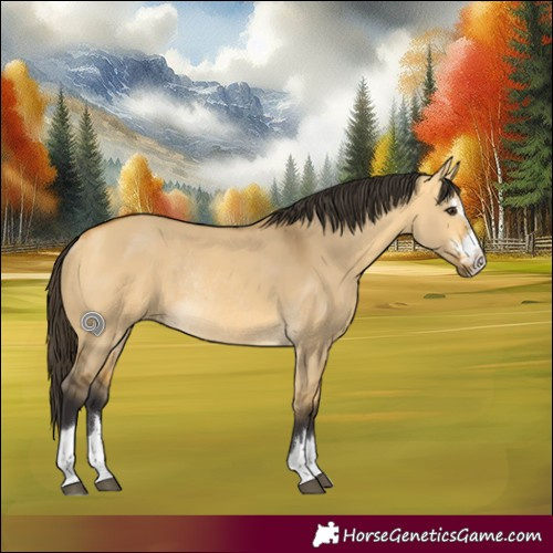 Horse Color:Buckskin Dun Rabicano