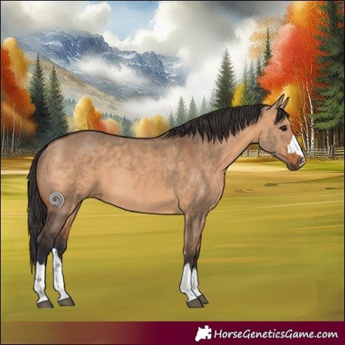 Horse Color:Bay Dun Rabicano 