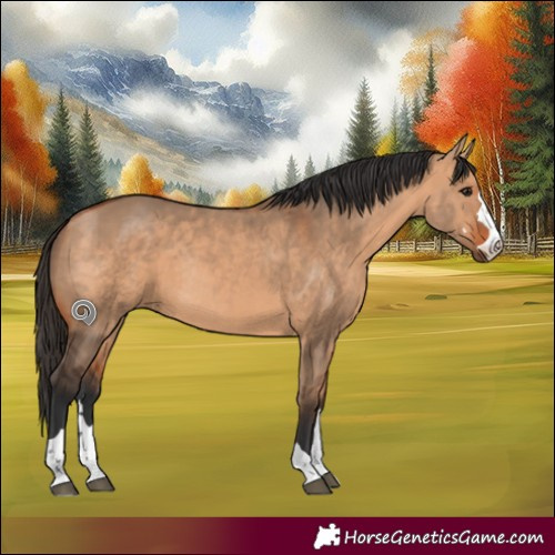 Horse Color:Bay Dun Rabicano 