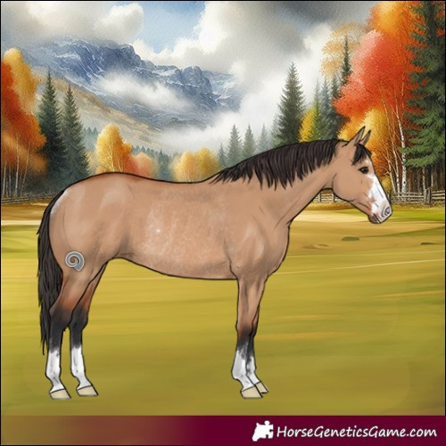 Horse Color:Bay Dun Rabicano 