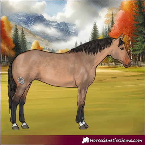 Horse Color:Bay Dun Rabicano 