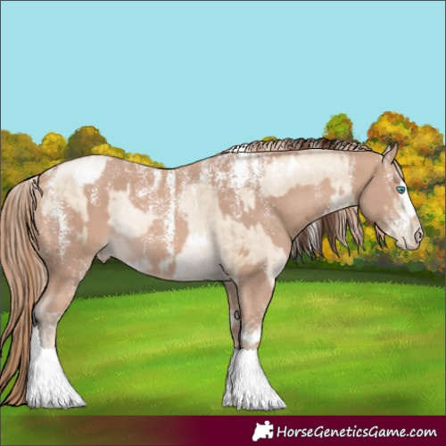 Horse Color:Powder White White Spotted Sable Champagne Pearl Dun Rabicano Brindle  and Powder White Perlino 