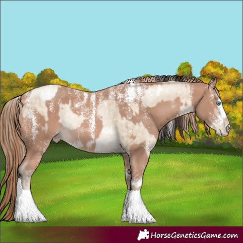 Horse Color:Powder White White Spotted Sable Champagne Pearl Dun Rabicano Brindle  and Powder White Perlino 