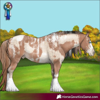 Horse Color:Powder White White Spotted Sable Champagne Pearl Dun Rabicano Brindle and Powder White Perlino