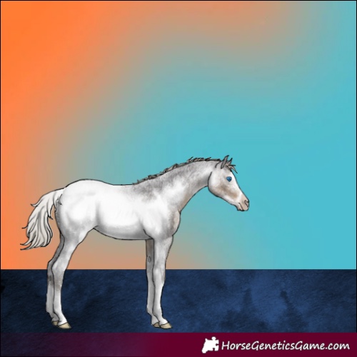 Horse Color:Silver Smoky Blue Roan Sabino Frame 