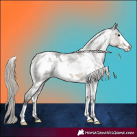 Horse Color:White Spotted Silver Smoky Grullo Roan Frame