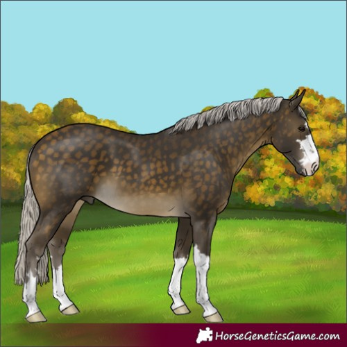 Horse Color:Silver Buckskin 