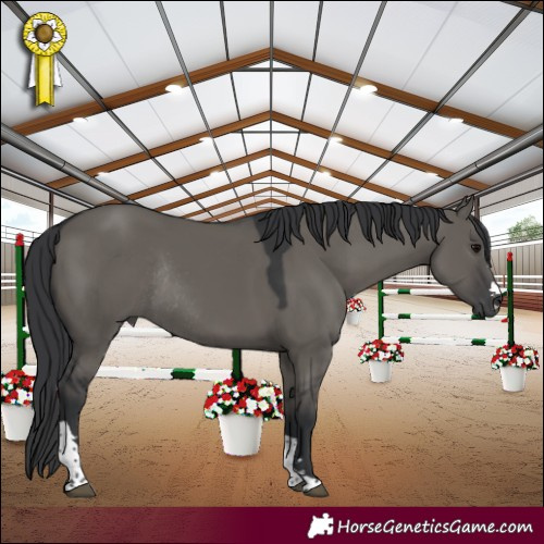 Horse Color:Grullo Tobiano Rabicano 