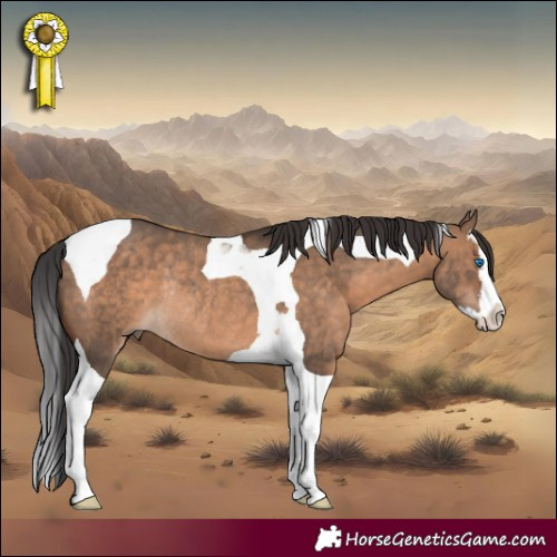 Horse Color:Brown Dun Splash Tobiano Rabicano 