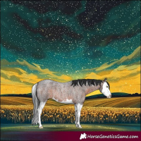 Horse Color:Brown Roan Splash 