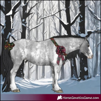 Horse Color:Blue Roan Sabino 