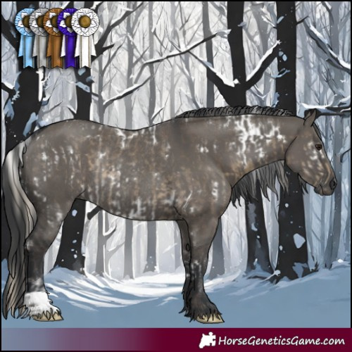 Horse Color:White Spotted Silver Smoky Grullo Rabicano  and Grullo Rabicano 